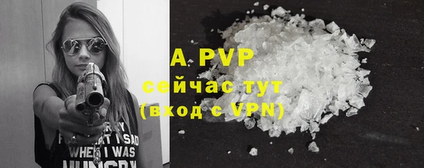 ешки Алексин