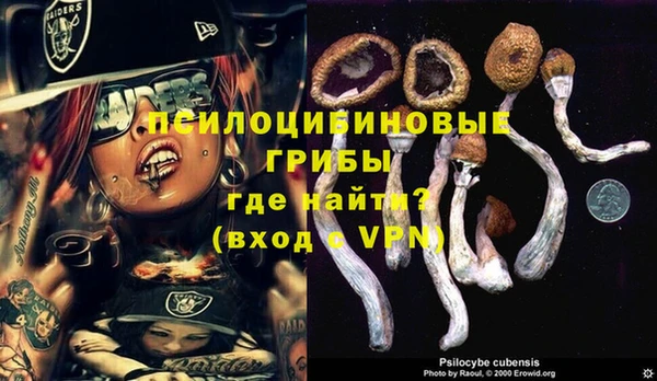 ешки Алексин