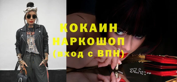ешки Алексин