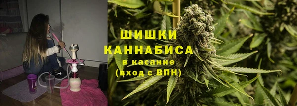 ешки Алексин